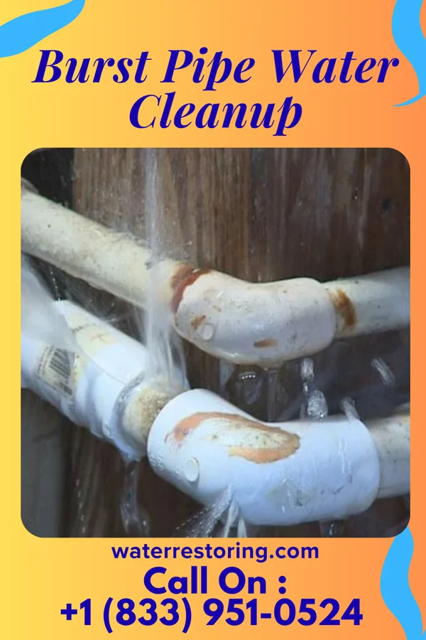 Burst Pipe Water Cleanup in Manville, NJ