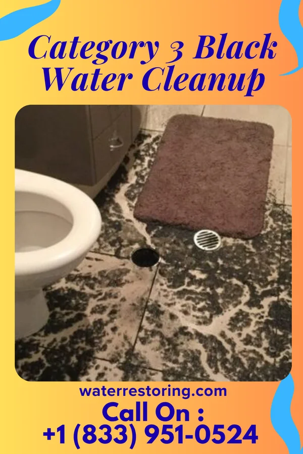 Category 3 Black Water Cleanup in Manville, NJ