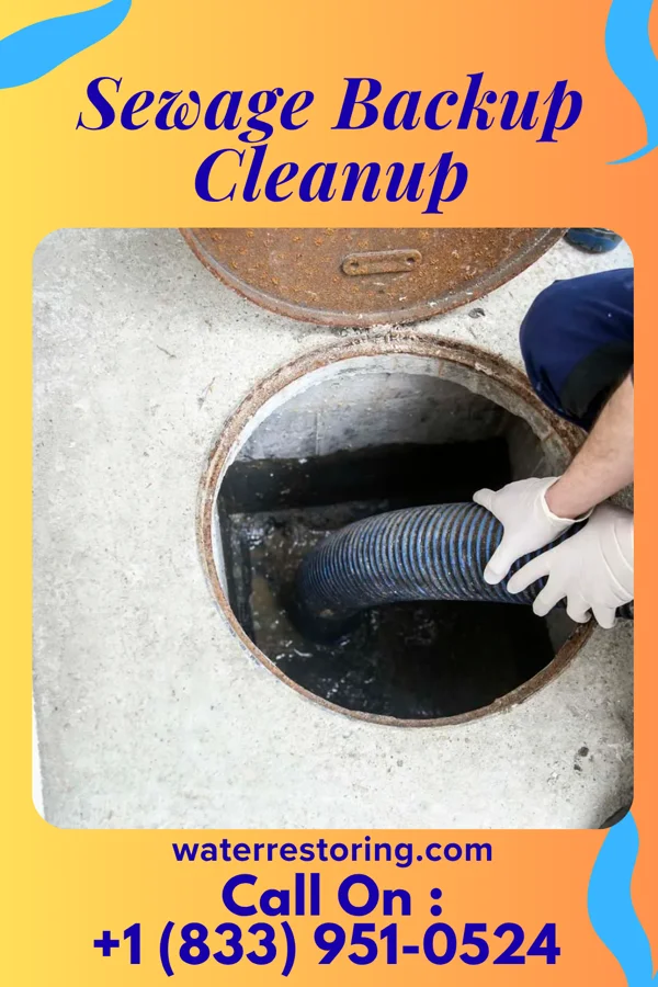 Sewage Backup Cleanup in Manville, NJ