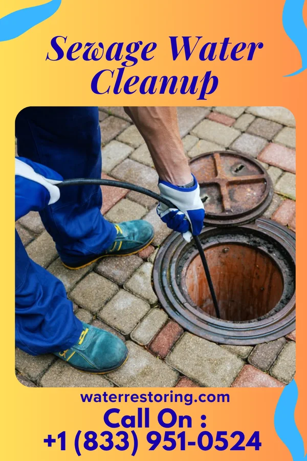 Sewage Water Cleanup in Manville, NJ