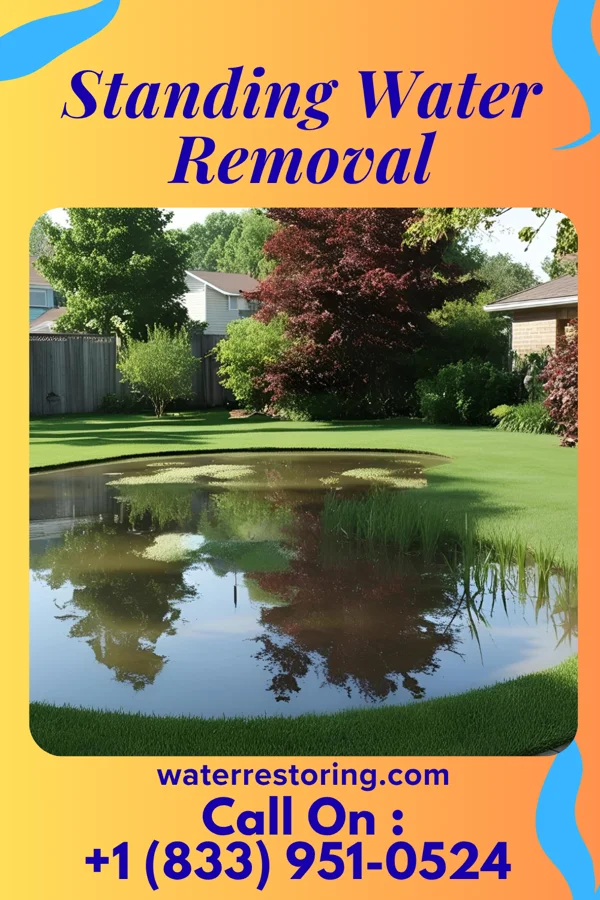Standing Water Removal in Manville, NJ